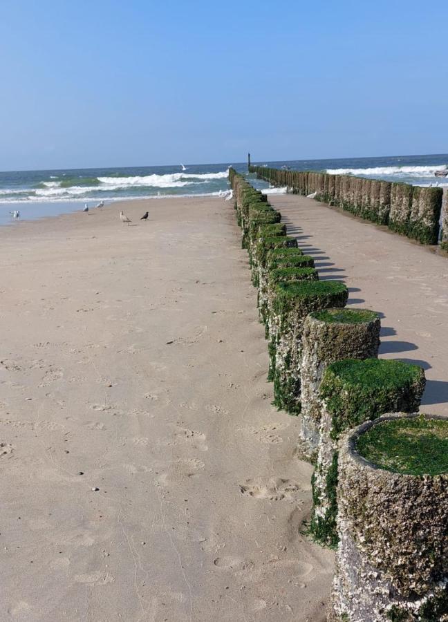 De Notenbalk Aan Zee Acomodação com café da manhã Vlissingen Exterior foto
